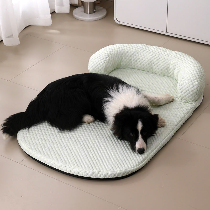 How to Keep Pets Cool During Summer Heat
