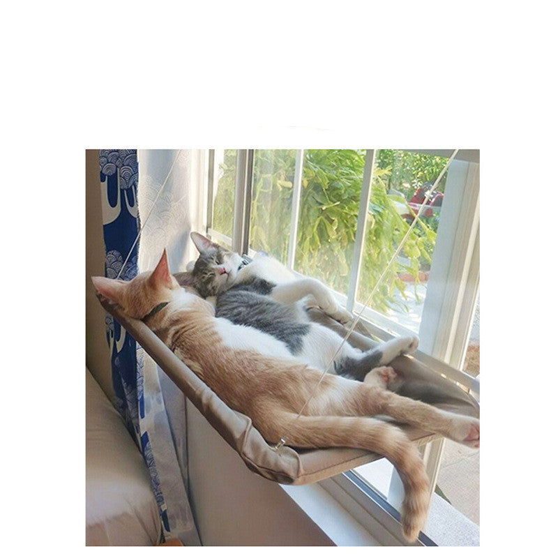 Why Cats Love Window Hammocks