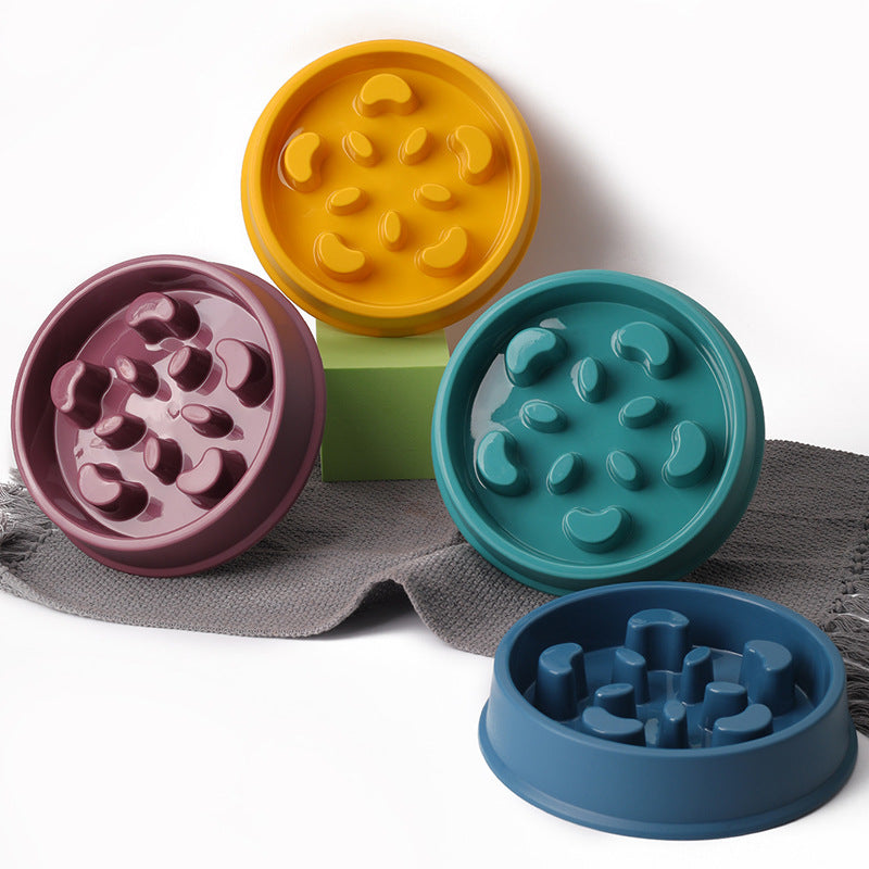 Slow Feeder Dog Bowl for Healthier, Happier Mealtimes