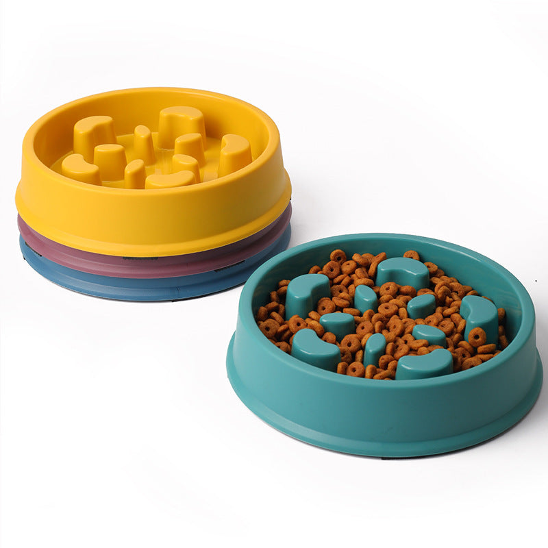 Slow Feeder Dog Bowl for Healthier, Happier Mealtimes