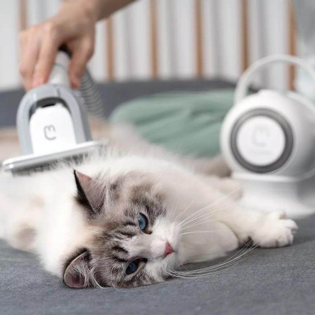 Smart Pet Grooming Vacuum for Easy Fur Trimming at Home