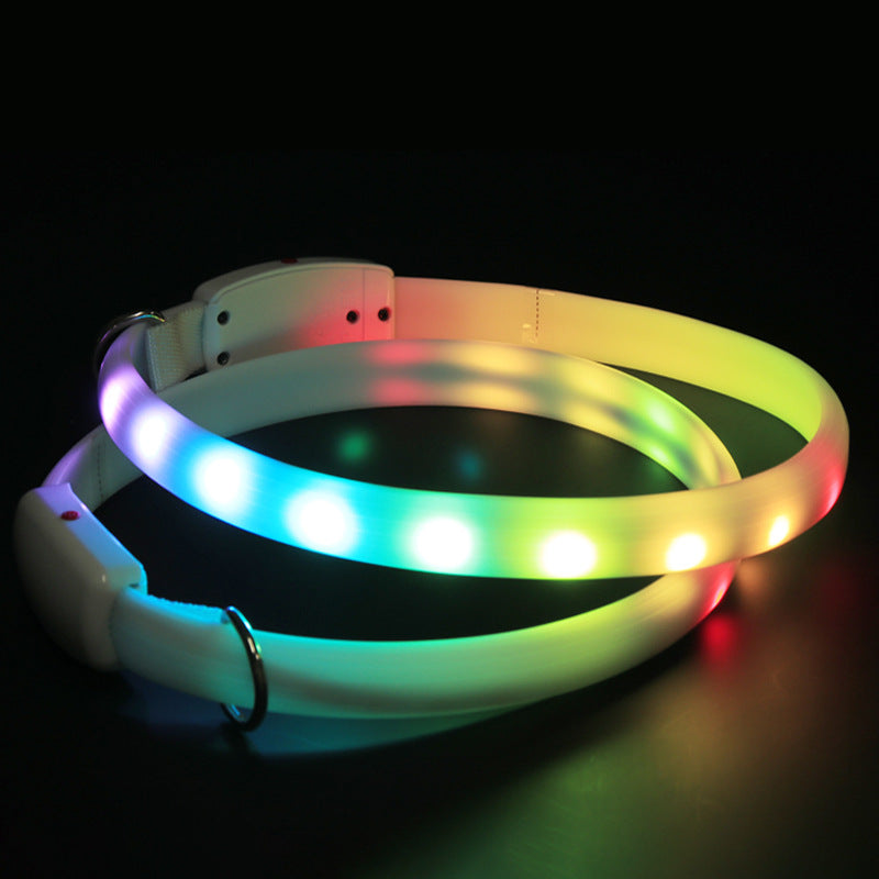 USB Rechargeable LED Dog Collar for Safe Night Walks