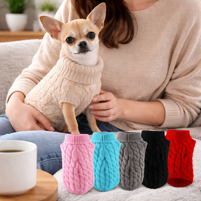 Cute Small Dog Sweater for Cozy Cold Weather Walks