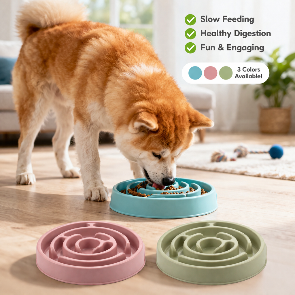 Slow Feeder Dog Bowl – Healthier, Happier Mealtimes