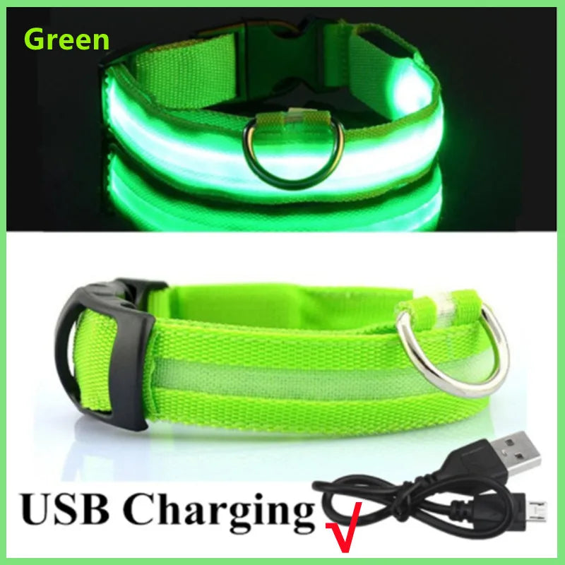 Rechargeable Glowing Pet Collar for Visibility and Safety