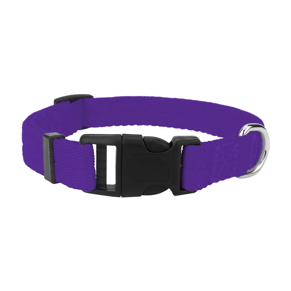 Light, Strong and Adjustable — The Last Collar You Need