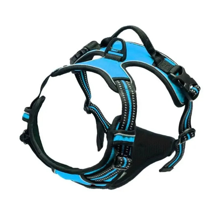 Dog Harness & Collar Set – Comfortable, Secure Fit