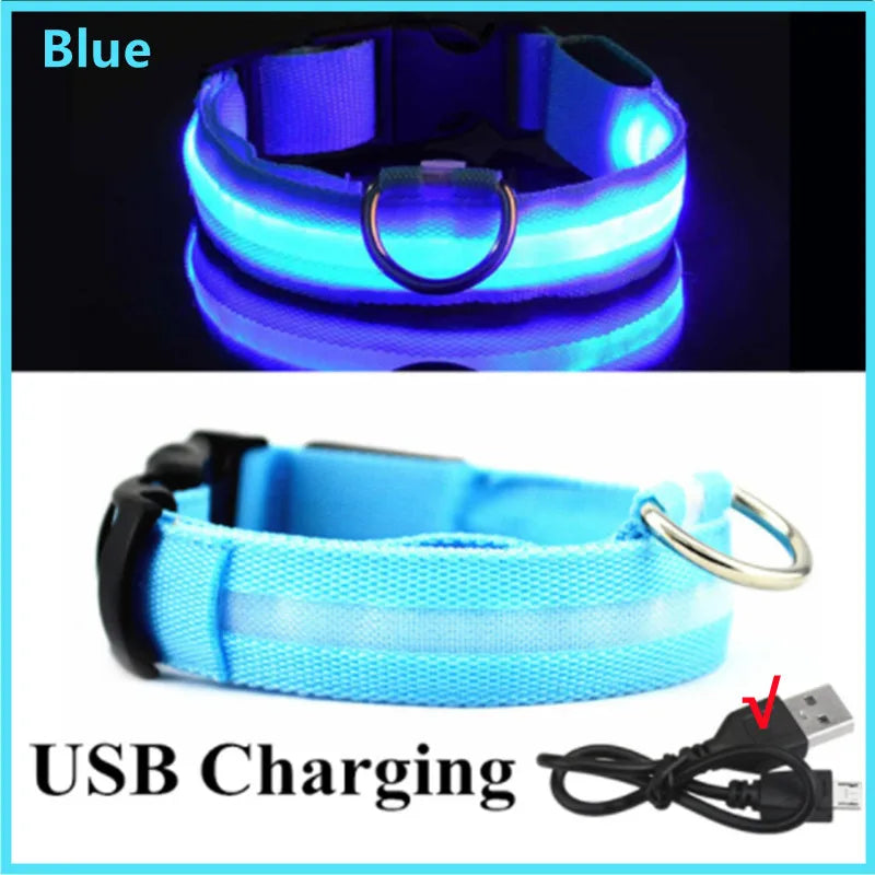 Rechargeable Glowing Pet Collar for Visibility and Safety