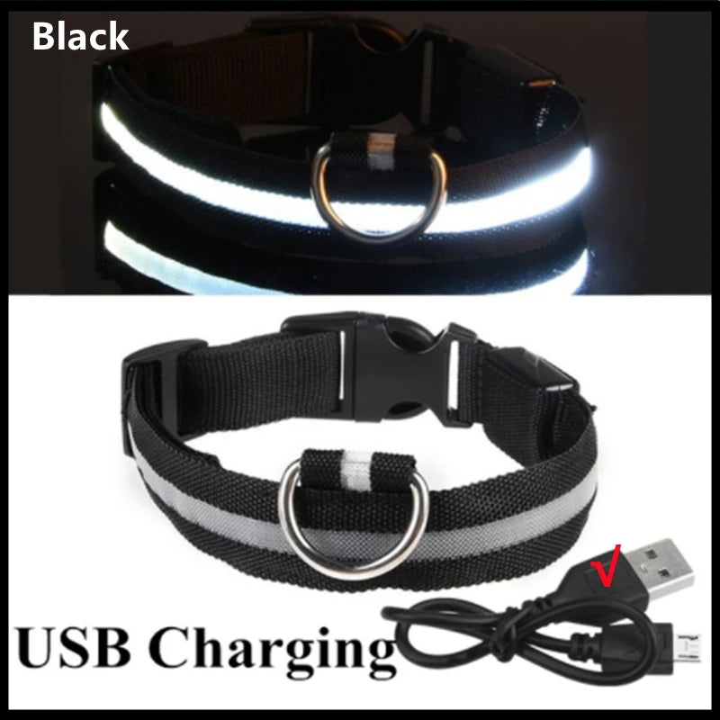 Rechargeable Glowing Pet Collar for Visibility and Safety