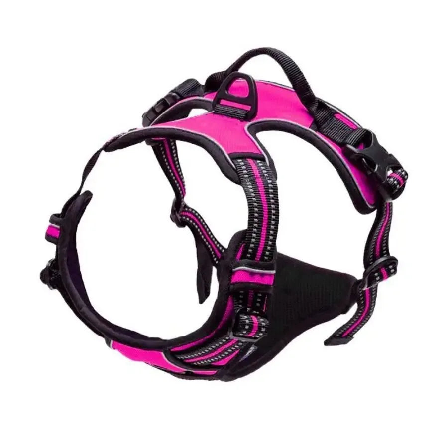 Dog Harness & Collar Set – Comfortable, Secure Fit