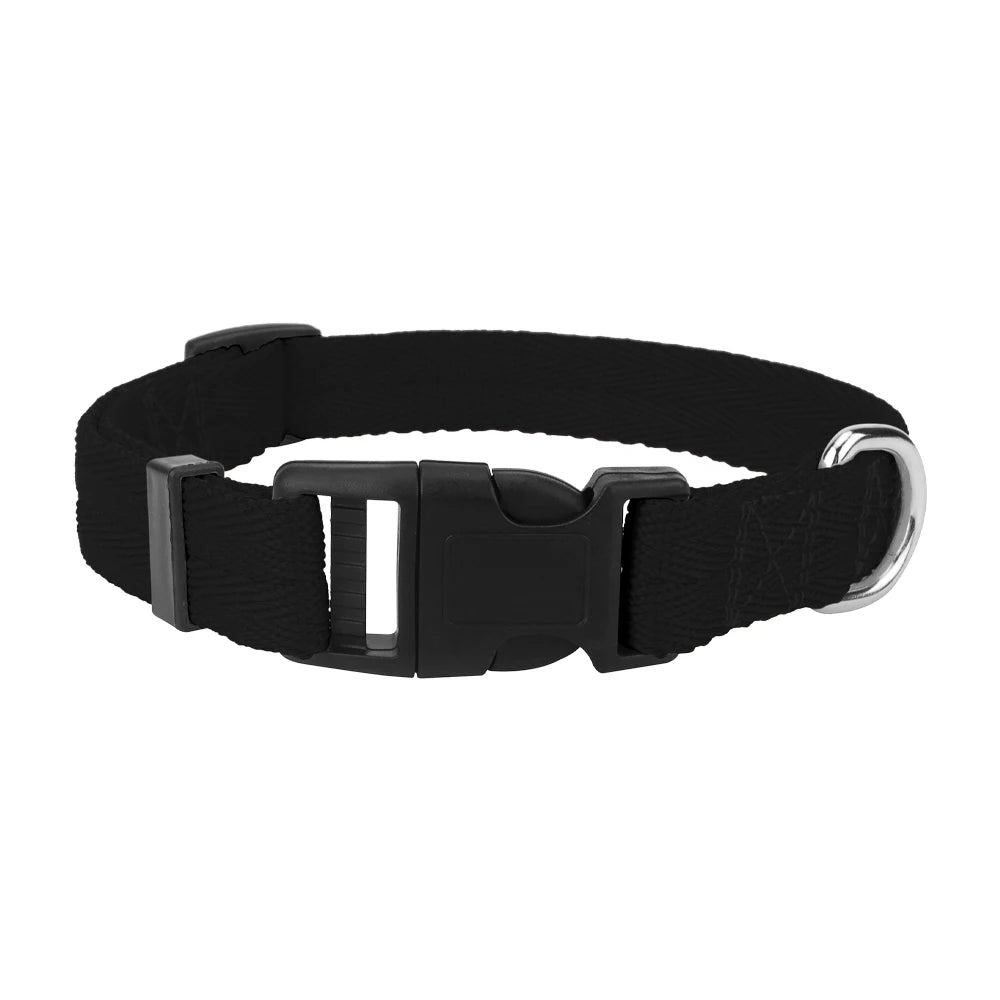 Light, Strong and Adjustable — The Last Collar You Need