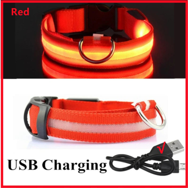 Rechargeable Glowing Pet Collar for Visibility and Safety