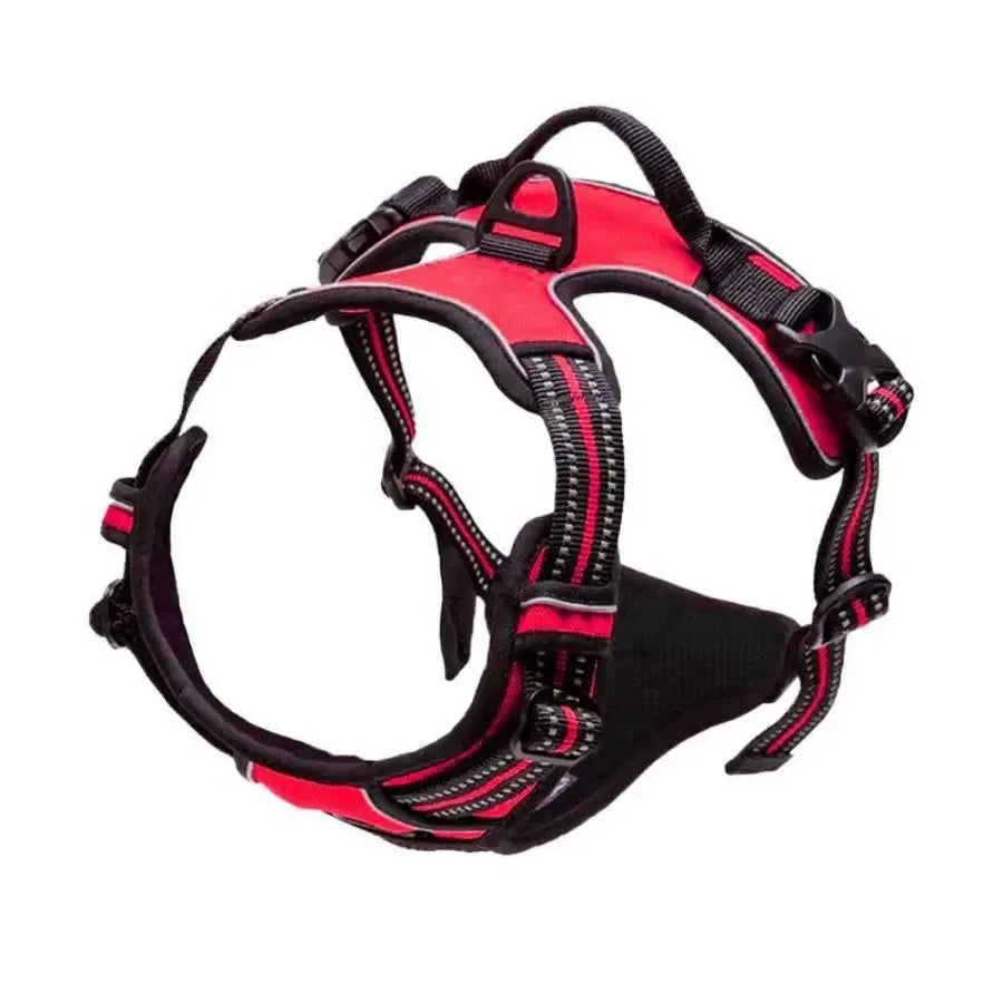 Dog Harness & Collar Set – Comfortable, Secure Fit