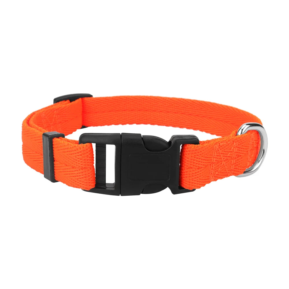 Light, Strong and Adjustable — The Last Collar You Need