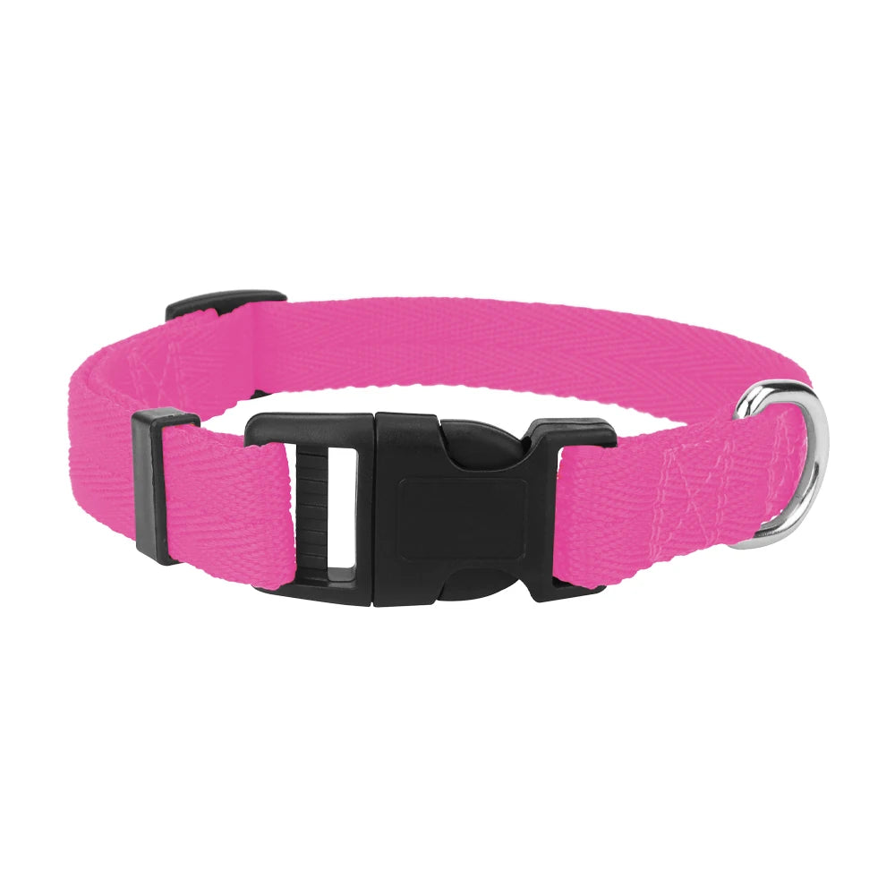 Light, Strong and Adjustable — The Last Collar You Need
