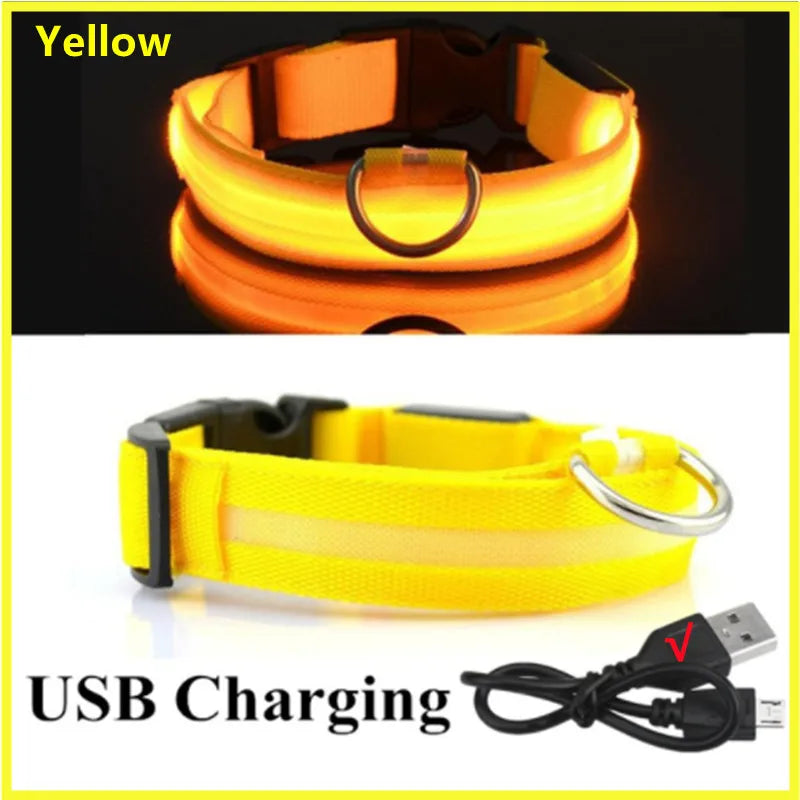 Rechargeable Glowing Pet Collar for Visibility and Safety