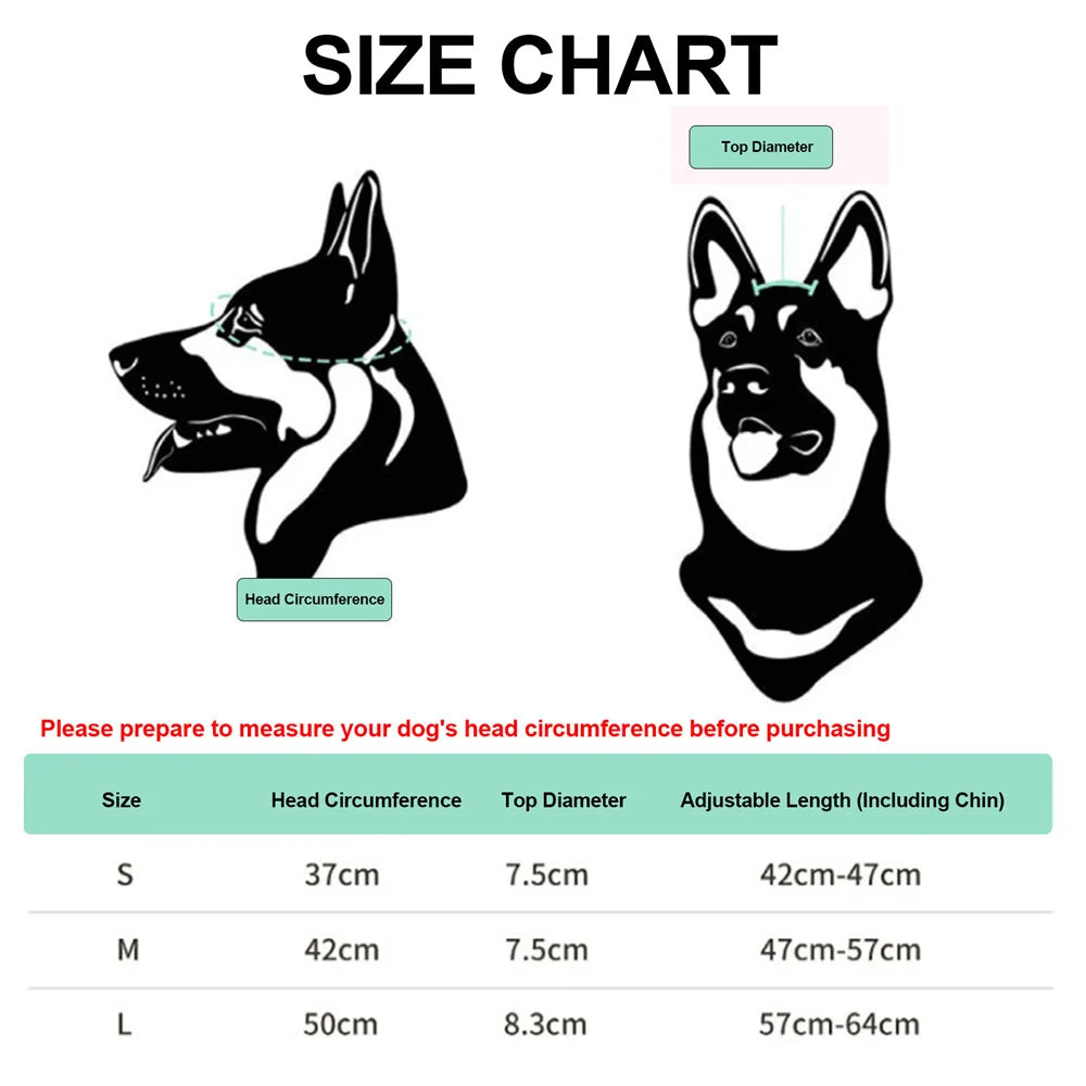 Keep Your Pup Safe and Stylish on Every Ride