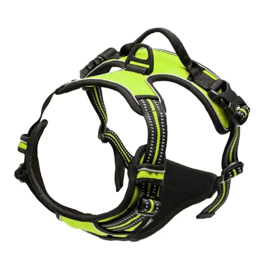Dog Harness & Collar Set – Comfortable, Secure Fit