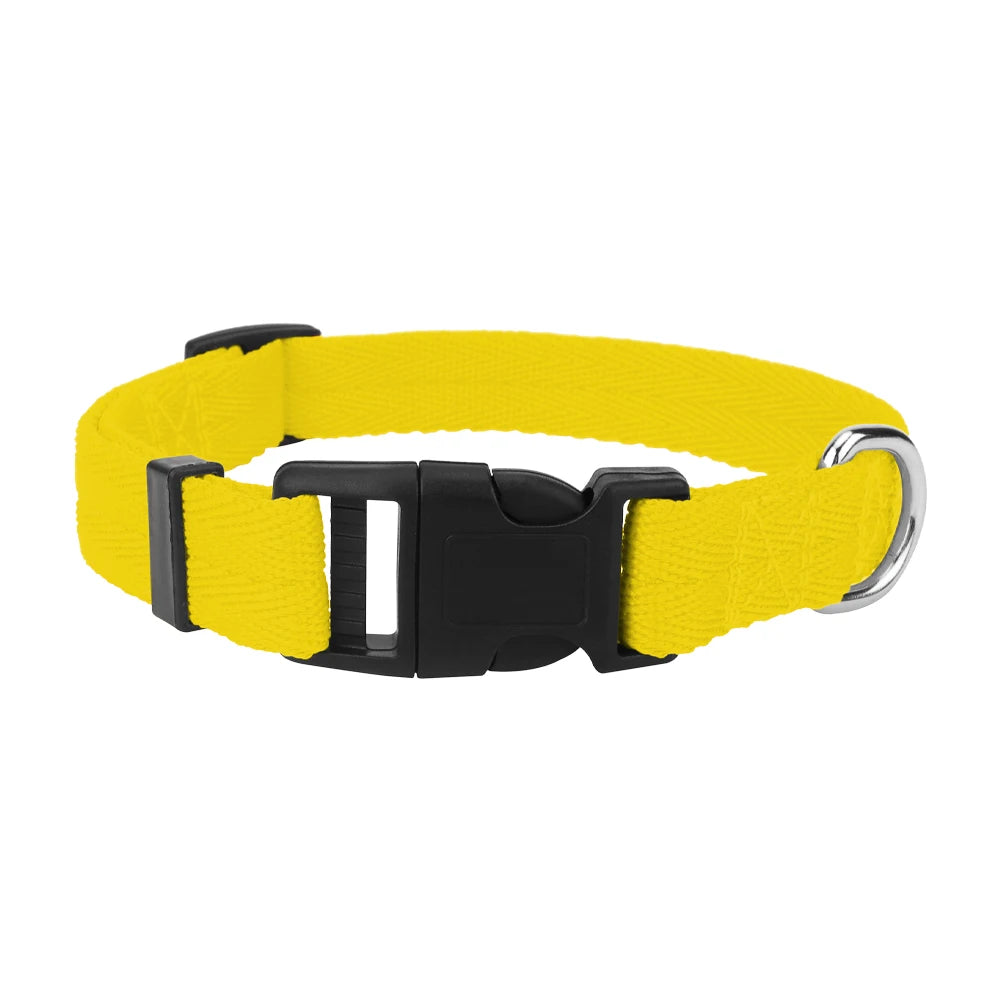 Light, Strong and Adjustable — The Last Collar You Need