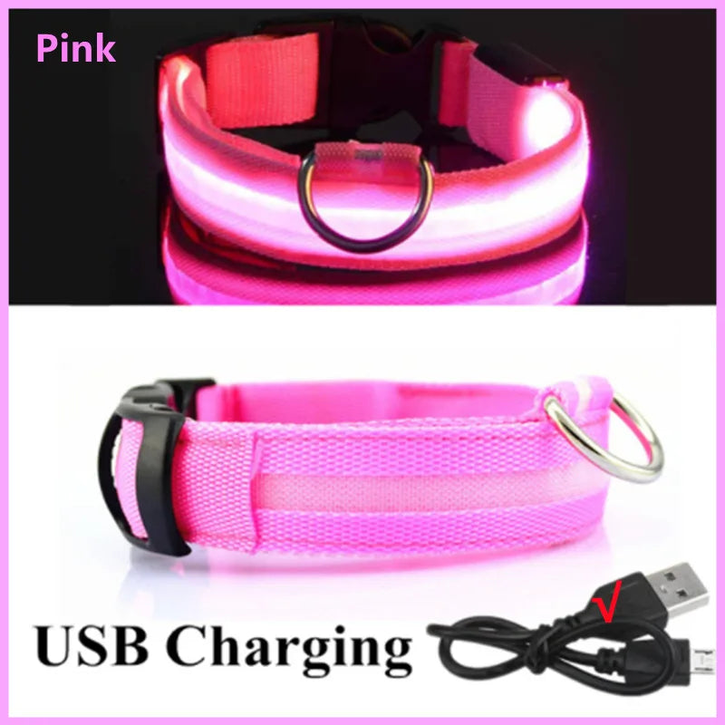 Rechargeable Glowing Pet Collar for Visibility and Safety