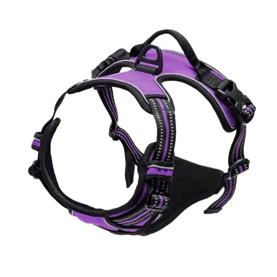Dog Harness & Collar Set – Comfortable, Secure Fit