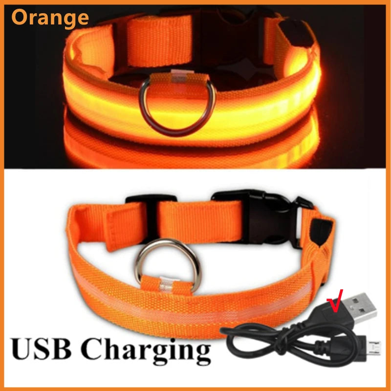 Rechargeable Glowing Pet Collar for Visibility and Safety