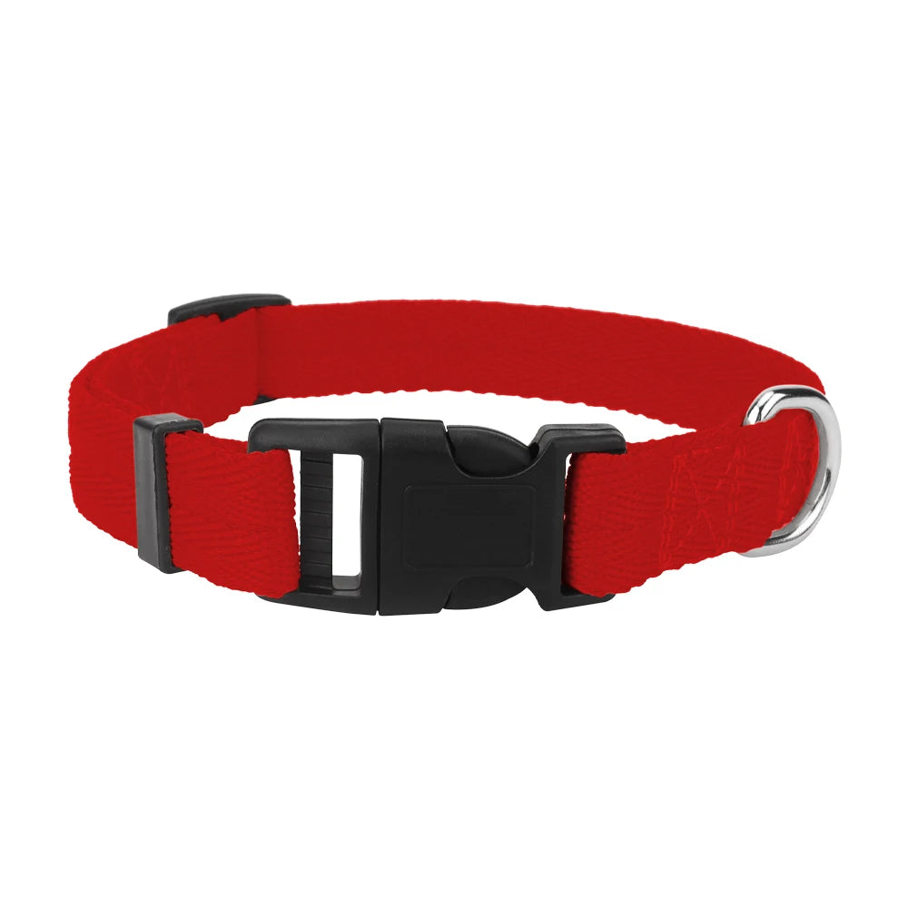 Light, Strong and Adjustable — The Last Collar You Need