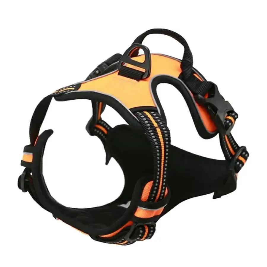 Dog Harness & Collar Set – Comfortable, Secure Fit
