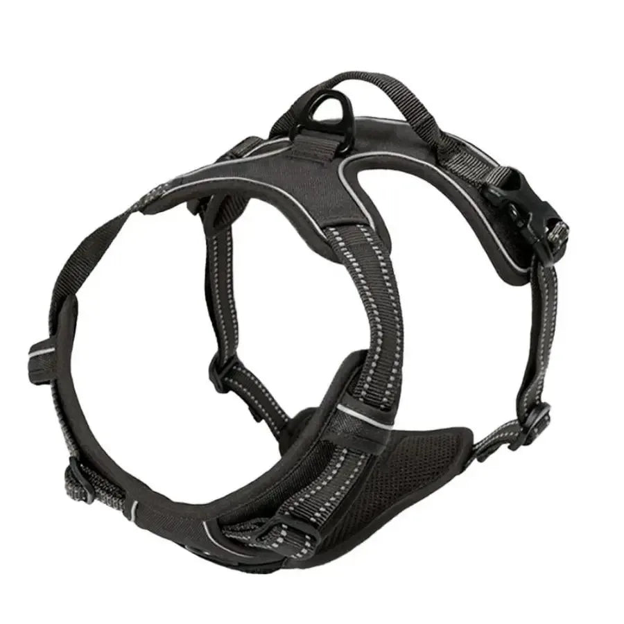 Dog Harness & Collar Set – Comfortable, Secure Fit