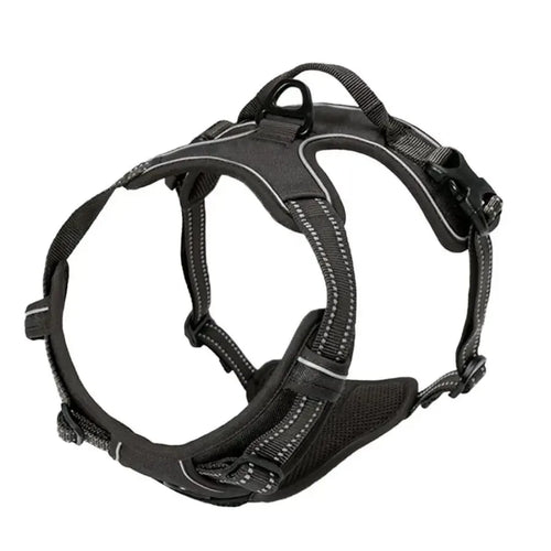 Dog Harness & Collar Set – Comfortable, Secure Fit